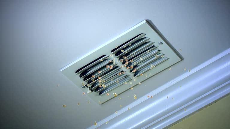 Best Ductwork Cleaning Services  in Bowleys Quarters, MD